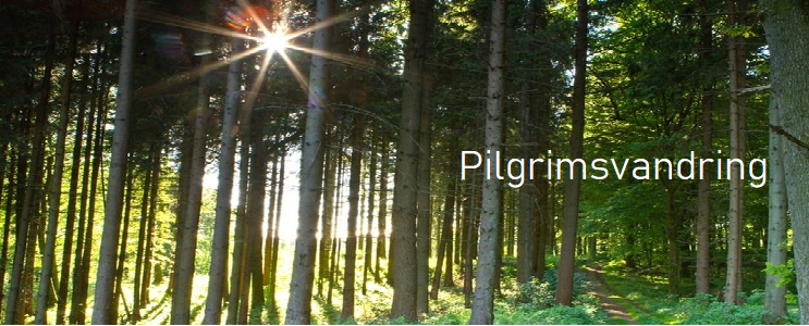 Pilgrimsvandring